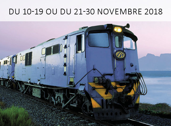 Blue Train Golf Safari 5* - Magnifique train de luxe