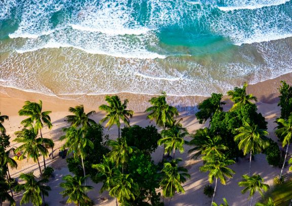 Image VOYAGE GOLFIQUE EN ETE