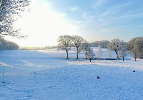 Image Voyage golfique en hiver
