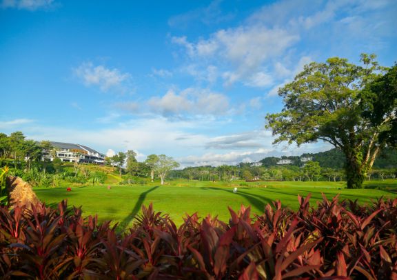 Golf photo 2