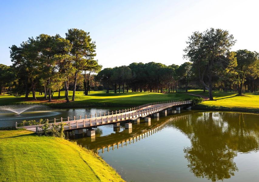 Golf photo 4