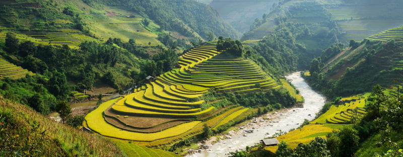 Image reste du monde