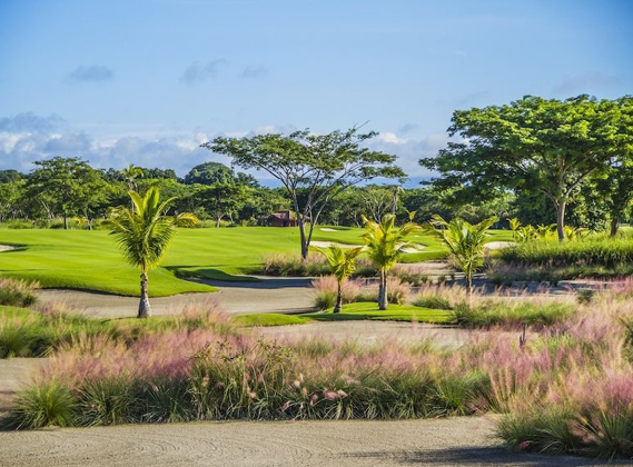 Circuit Golf & Découverte au Panama